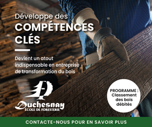 École de foresterie de Duchesnay - Classement des bois débités