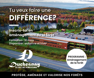 École de foresterie de Duchesnay - Classement des bois débités