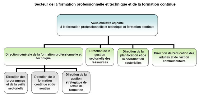 organigramme