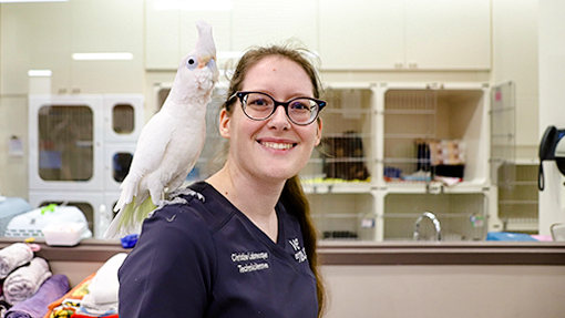 Christine Labrecque, technicienne en santé animale